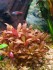 20201021_165912.jpg