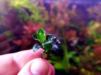 20201026_104551.jpg