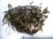 IMG_20201006_200919.jpg