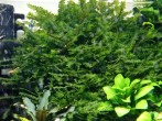 IMG_20201011_151150.jpg