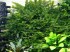 IMG_20201011_151150.jpg