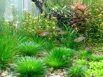 IMG_20201011_154307.jpg