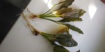 IMG_20201017_125339.jpg