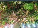 IMG_20201017_144417.jpg
