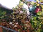 IMG_20201017_145405.jpg