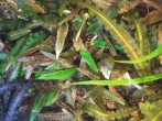 IMG_20201018_201418459.jpg