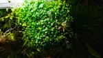 IMG_20201022_193641.jpg