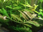 IMG_20201027_091948_1.jpg