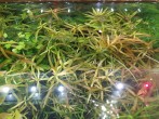 IMG_20201027_092147_1.jpg