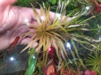 IMG_20201027_092456.jpg