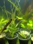 copy_301_photo_2020-06-04_15-15-13-4-1.jpg
