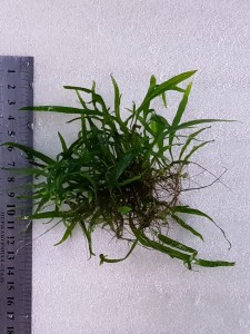 copy_319_20200927_153318.jpg