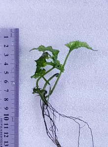 copy_607_20200927_163658.jpg