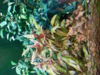copy_792_20201007_170809.jpg