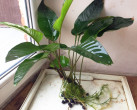 20201029135016.jpg
