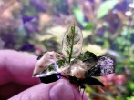 20201101_223534.jpg