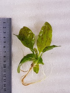 20201102_142256.jpg