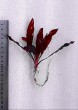 20201102_142415.jpg