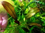 20201118_112337.jpg