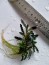 IMG20201122115634.jpg