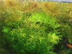 IMG_20201102_113746.jpg