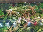IMG_20201102_114142_1.jpg