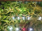 IMG_20201102_114247_1.jpg