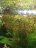 IMG_20201102_114545.jpg