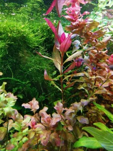 IMG_20201105_164324.jpg