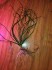 IMG_20201106_125607.jpg