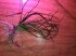 IMG_20201106_125646_1.jpg