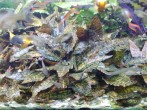 IMG_20201110_185455715.jpg