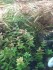 IMG_20201115_145721.jpg