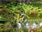 IMG_20201115_150444.jpg