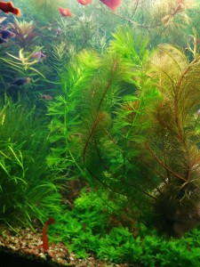 IMG_20201125_143114.jpg
