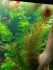 IMG_20201125_143147.jpg
