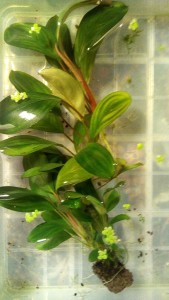 IMG_20201130_195808.jpg
