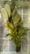 IMG_20201130_195906.jpg