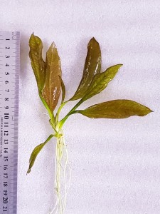 20201205_145338.jpg