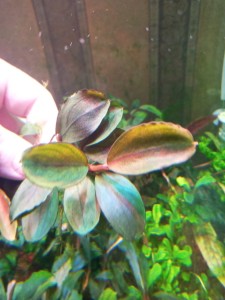 20201224_154845.jpg