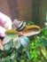 20201224_154845.jpg