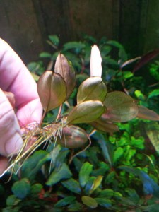 20201224_154858.jpg
