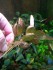 20201224_154858.jpg