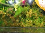 IMG_20201202_114242.jpg