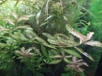 IMG_20201202_115942.jpg