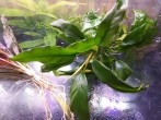 IMG_20201205_160459.jpg