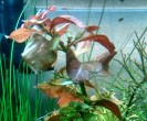 IMG_20201211_205026.jpg