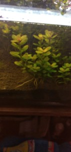 IMG_20201222_202514.jpg