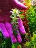 IMG_20201224_115106.jpg