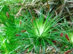 copy_257_IMG_20201011_150627.jpg